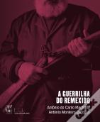 A Guerrilha do Remexido