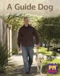A Guide Dog - Preview