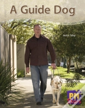 Capa do artigo A Guide Dog