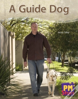 Capa do artigo A Guide Dog