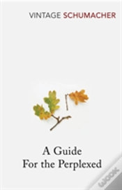Capa do artigo A Guide For The Perplexed