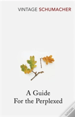 Capa do artigo A Guide For The Perplexed