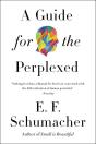 A Guide For The Perplexed - Preview