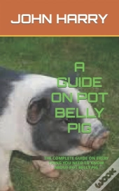 A Guide On Pot Belly Pig