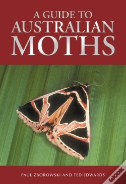 Capa do artigo A Guide To Australian Moths