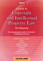 A Guide To Copyright And Intellectual Property Law - Preview