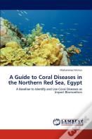 A Guide To Coral Diseases In The Northern Red Sea, Egypt