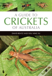 A Guide To Crickets Of Australia