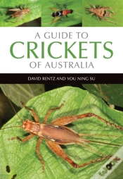 Capa do artigo A Guide To Crickets Of Australia