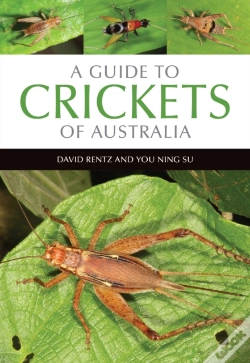 Capa do artigo A Guide To Crickets Of Australia