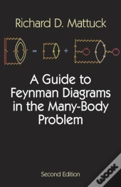A Guide To Feynman Diagrams In The Many-Body Problem