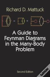 Capa do artigo A Guide To Feynman Diagrams In The Many-Body Problem