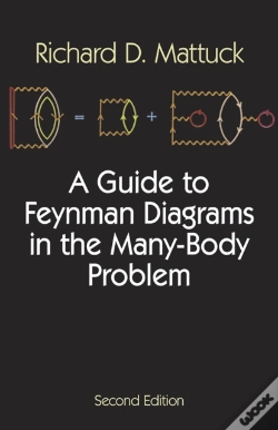 Capa do artigo A Guide To Feynman Diagrams In The Many-Body Problem