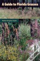 A Guide To Florida Grasses