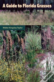 Capa do artigo A Guide To Florida Grasses