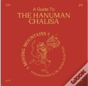 Capa do artigo A Guide To Hanuman Chalisa