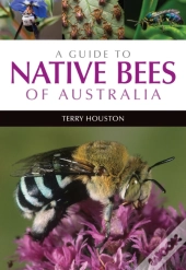 A Guide To Native Bees Of Australia
