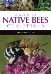 Capa do artigo A Guide To Native Bees Of Australia
