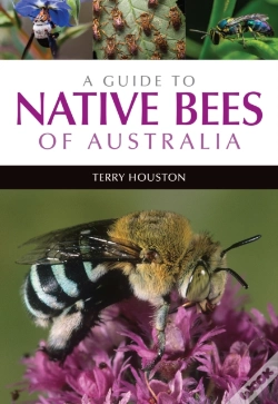 Capa do artigo A Guide To Native Bees Of Australia