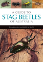 A Guide To Stag Beetles Of Australia - Preview