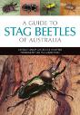 A Guide To Stag Beetles Of Australia - Preview