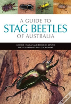 Capa do artigo A Guide To Stag Beetles Of Australia