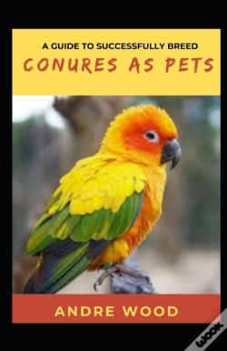 Capa do artigo A Guide To Successfully Breed Conures As Pets