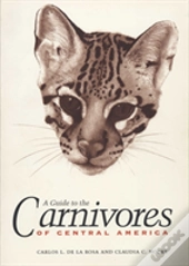 A Guide To The Carnivores Of Central America
