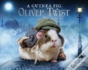 Capa do artigo A Guinea Pig Oliver Twist