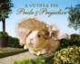 A Guinea Pig Pride & Prejudice - Preview