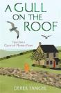 A Gull On The Roof - Preview