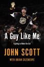 A Guy Like Me - Preview