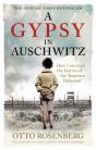 A Gypsy In Auschwitz - Preview