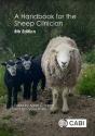 A Handbook For The Sheep Clinician - Preview