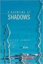 A Haunting Of Shadows - Preview