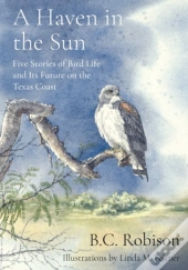 A Haven In The Sun