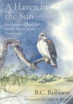 Capa do artigo A Haven In The Sun