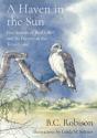 A Haven In The Sun - Preview