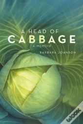 A Head Of Cabbage