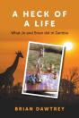 A Heck Of A Life - Preview