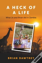 Capa do artigo A Heck Of A Life