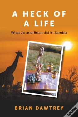 Capa do artigo A Heck Of A Life