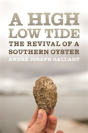 A High Low Tide - Preview
