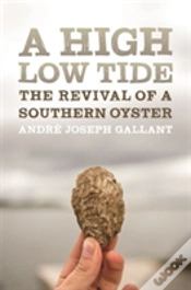 Capa do artigo A High Low Tide