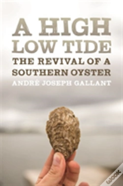 Capa do artigo A High Low Tide