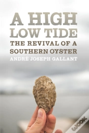 Capa do artigo A High Low Tide