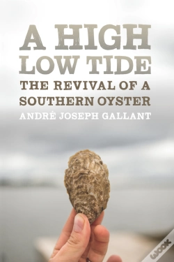 Capa do artigo A High Low Tide