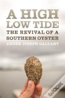A High Low Tide