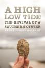 A High Low Tide - Preview