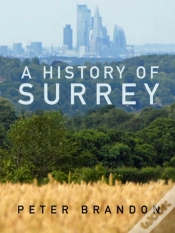 Capa do artigo A History Of Surrey